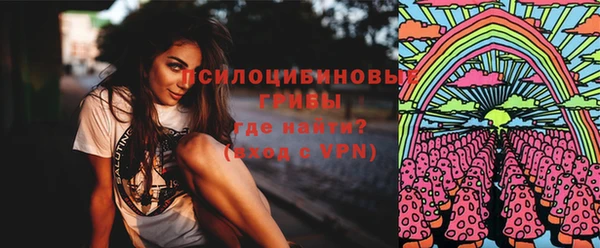 МДПВ Алзамай