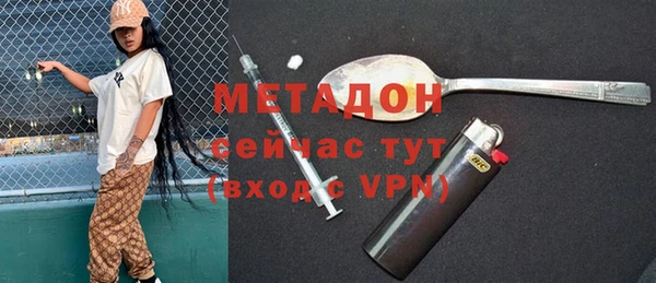 индика Алексин