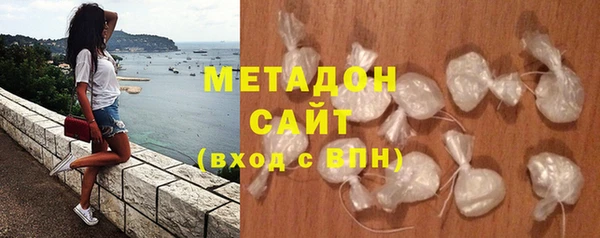 индика Алексин