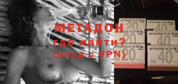 индика Алексин