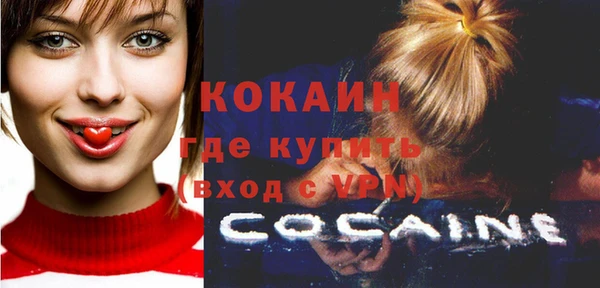 индика Алексин