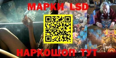 прущие грибы Малоярославец