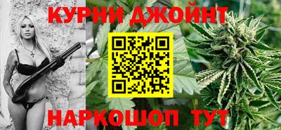 гашик Малгобек
