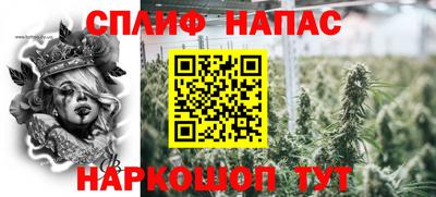 гашик Малгобек