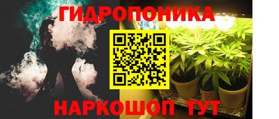 гашик Малгобек