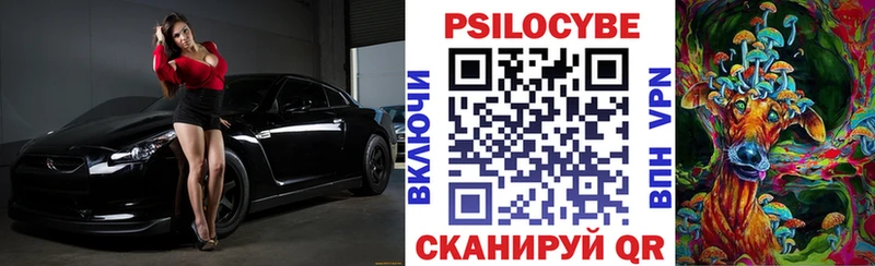 Галлюциногенные грибы Psilocybe  Киржач 
